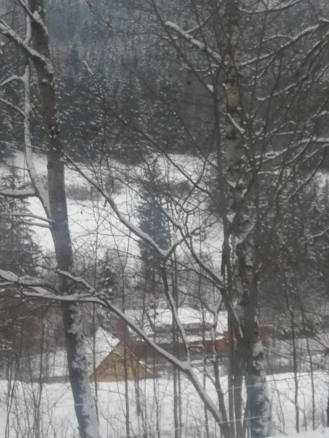 Hotel Ceska Farma Dolni Dvur 외부 사진